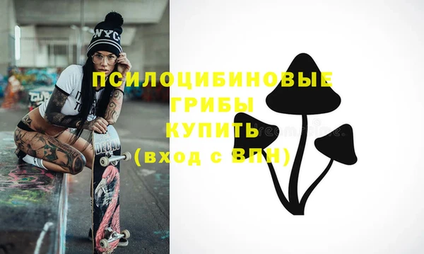 соль ск Аркадак