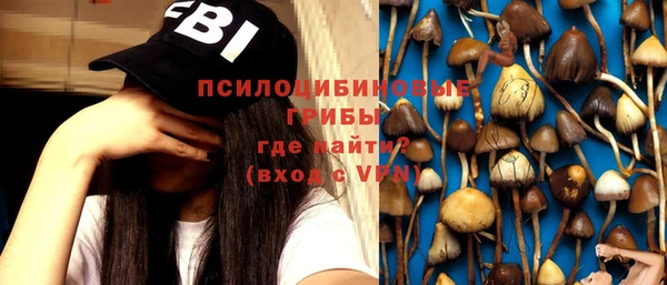 круглые Арсеньев