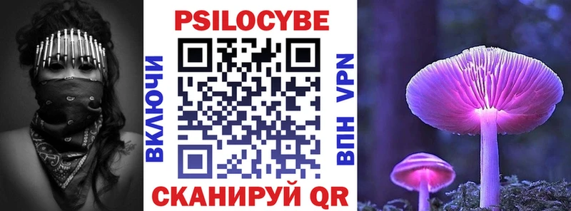 Галлюциногенные грибы Psilocybe  Балтийск 